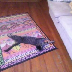 Meet your Posher, Mark